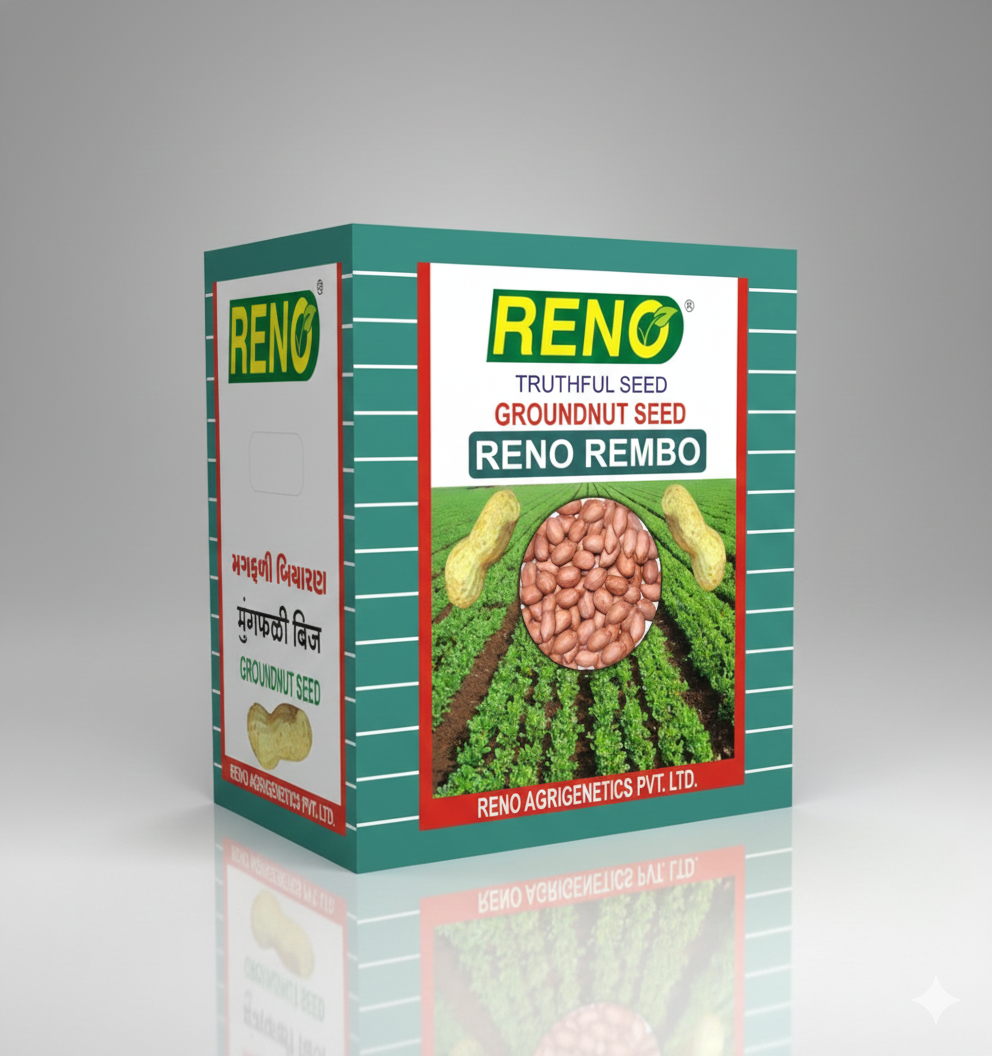 RENO REMBO